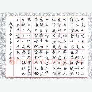 王宁波 硬笔楷书 白居易诗观刈麦