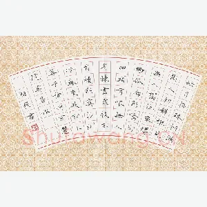 苏湘发 硬笔楷书 苏东坡词卜算子黄州定慧院寓居作