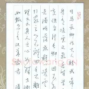 陈清云 硬笔行草 东坡书跋