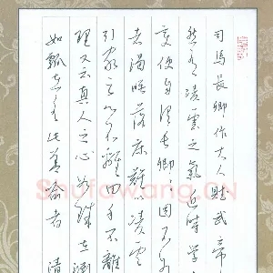 陈清云 硬笔行草 东坡书跋