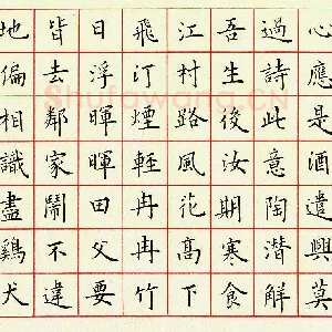 臧磊 硬笔楷书 杜甫诗二首
