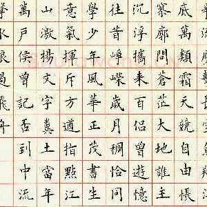 臧磊 硬笔楷书 毛泽东词一首