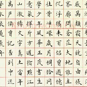 臧磊 硬笔楷书 毛泽东词一首