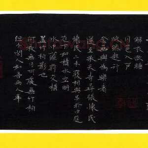 王兴汇 硬笔楷书 苏轼记承天寺夜游