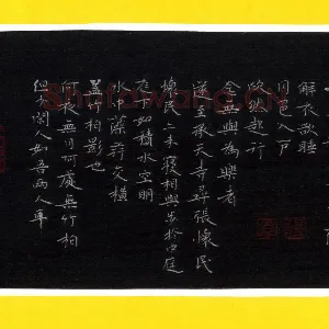 王兴汇 硬笔楷书 苏轼记承天寺夜游