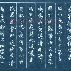 宋志峰 硬笔楷书 苏轼词一首