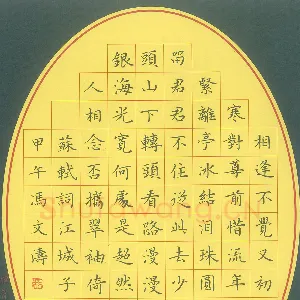 冯文涛 硬笔楷书 苏轼词江城子
