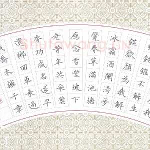冯文涛 硬笔楷书 苏轼词临江仙