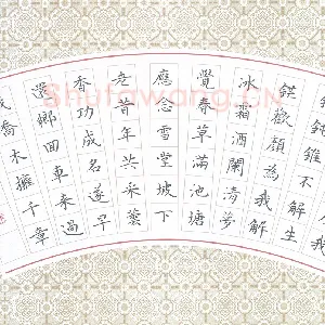 冯文涛 硬笔楷书 苏轼词临江仙