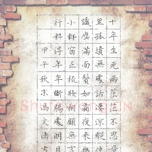 冯文涛 硬笔楷书 苏轼词江城子·乙卯正月二十日夜记梦