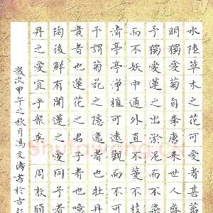 冯文涛 硬笔楷书 周敦颐爱莲说