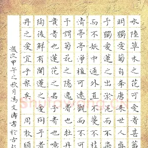 冯文涛 硬笔楷书 周敦颐爱莲说