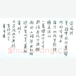 朱星星 [行书 东坡词一首］