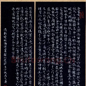 冯文涛 硬笔楷书 郑燮题画兰竹选抄