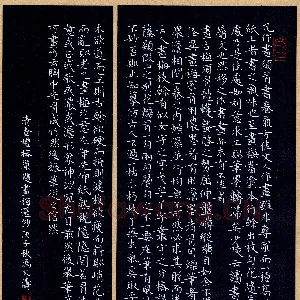 冯文涛 硬笔楷书 清查礼榕题画梅选抄