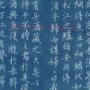 姜苏海 硬笔楷书 节录后赤壁赋