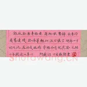 张颢 硬笔楷书 纳兰词