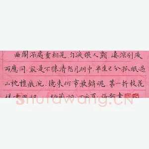 张颢 硬笔楷书 纳兰词