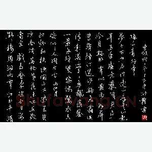 张颢 硬笔行书 东坡词二首