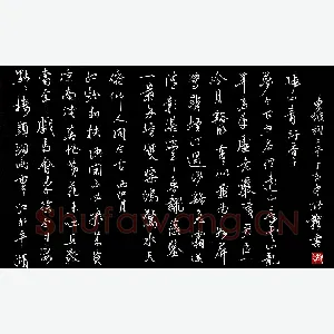 张颢 硬笔行书 东坡词二首