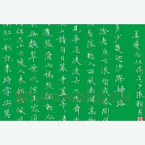 张颢 硬笔楷书 姜夔念奴娇