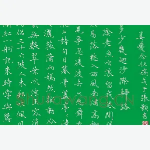 张颢 硬笔楷书 姜夔念奴娇
