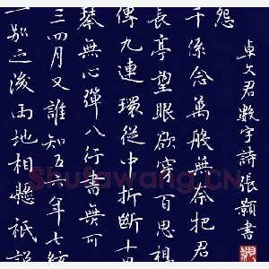 张颢 硬笔楷书 卓文君数字诗