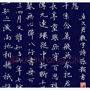 张颢 硬笔楷书 卓文君数字诗