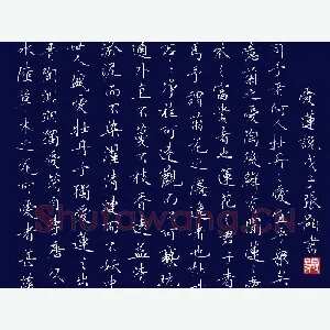 张颢 硬笔楷书 爱莲说