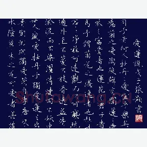 张颢 硬笔楷书 爱莲说