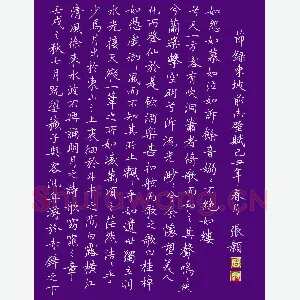 张颢 硬笔楷书 节录东坡赤壁赋