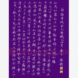张颢 硬笔楷书 节录东坡赤壁赋