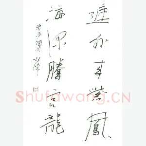 胡伟 硬笔行书 五言联