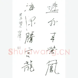 胡伟 硬笔行书 五言联