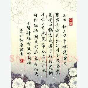 张颢 硬笔楷书 东坡词一首