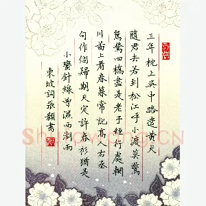张颢 硬笔楷书 东坡词一首