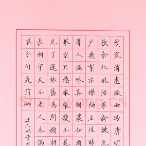 姚旭荣 硬笔楷书 李之仪姑溪词
