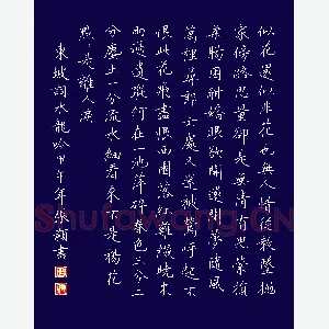 张颢 硬笔楷书 东坡词水龙吟一首