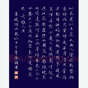 张颢 硬笔楷书 东坡词水龙吟一首