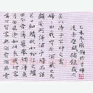 张颢 硬笔楷书 后赤壁赋摘录