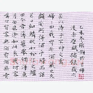 张颢 硬笔楷书 后赤壁赋摘录