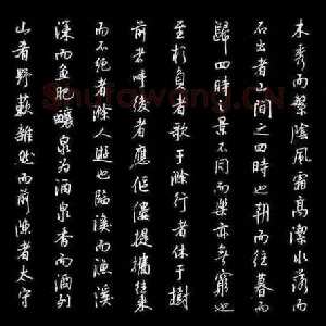 蔡金星 硬笔行书 欧阳修醉翁亭记
