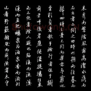 蔡金星 硬笔行书 欧阳修醉翁亭记