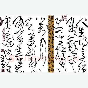 杨宇力 硬笔草书 李白将进酒诗句