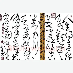 杨宇力 硬笔草书 李白将进酒诗句
