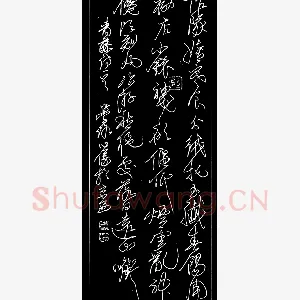 崔学路 钢笔楷书 徐渭诗一首