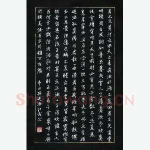 田红武 硬笔行书 李白诗将进酒