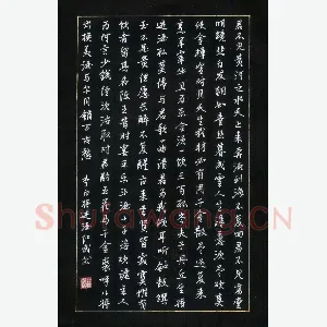 田红武 硬笔行书 李白诗将进酒