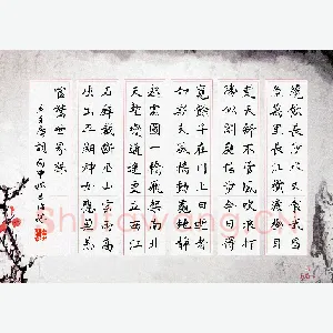 王臣林 硬笔楷书 毛泽东词