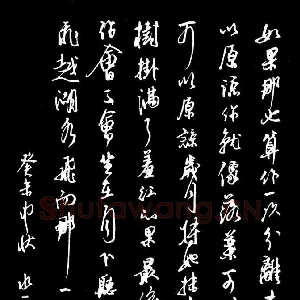 蔡金星 硬笔行书 现代诗